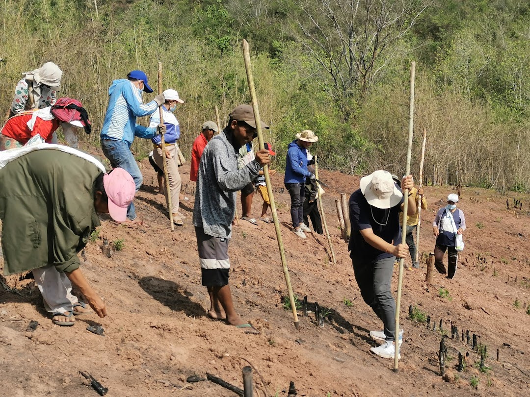 山間部に住む少数民族カム族が伝統的に行っている焼畑稲作の様子(2021年撮影)